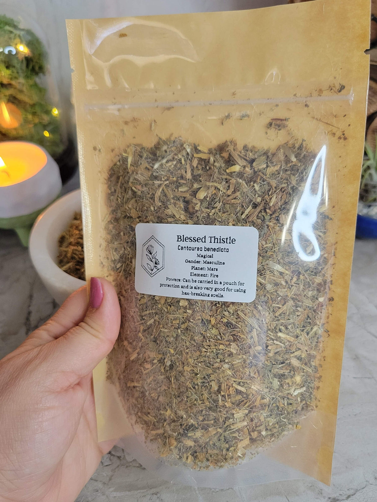 Blessed Thistle Herb - Cut & Sifted - 1oz - Protection