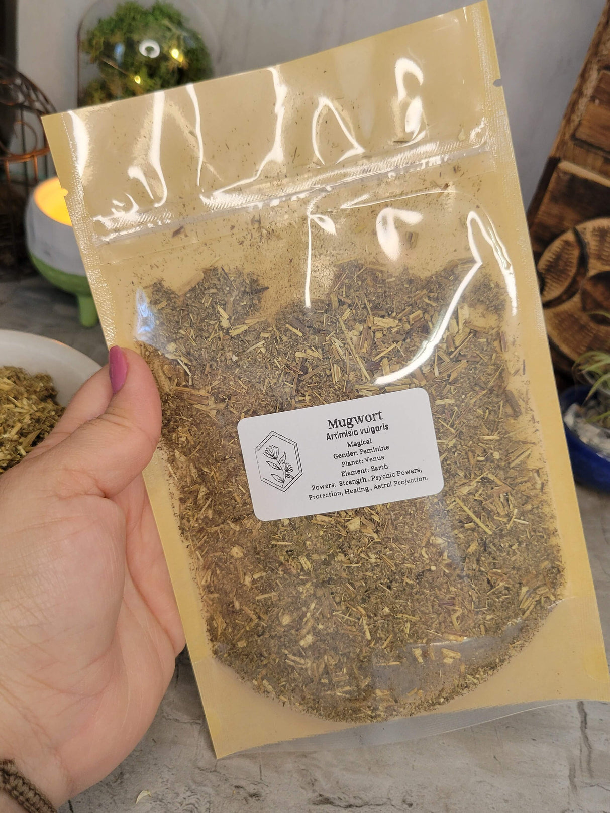 Dried Mugwort Herb (Artemisia vulgaris) - Cut & Sifted Botanical Material - 1 oz