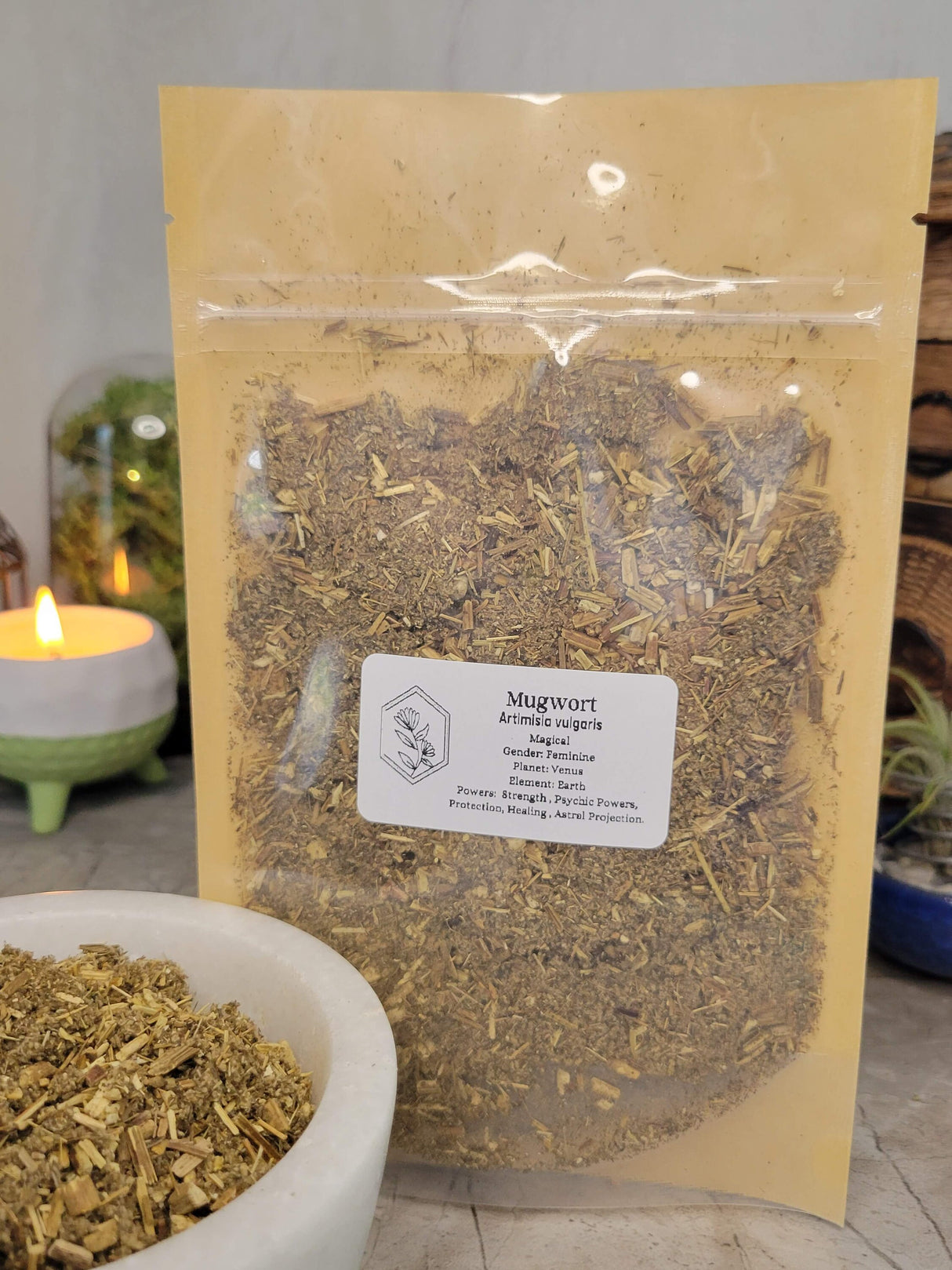 Dried Mugwort Herb (Artemisia vulgaris) - Cut & Sifted Botanical Material - 1 oz