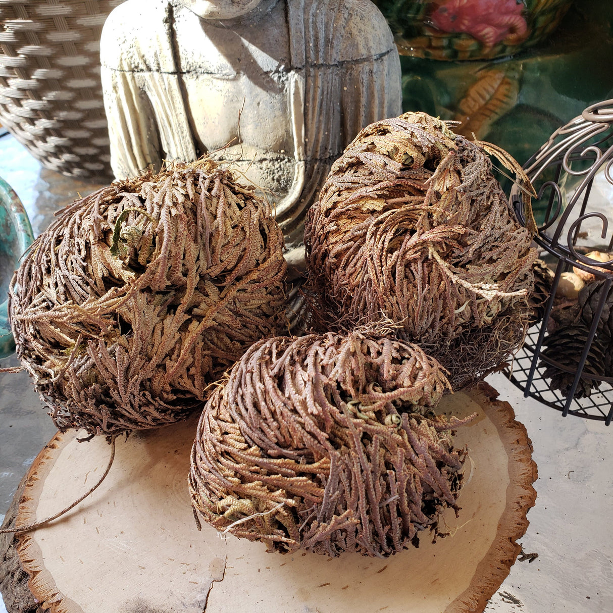 Rose of Jericho: Resurrection Flower Decoration