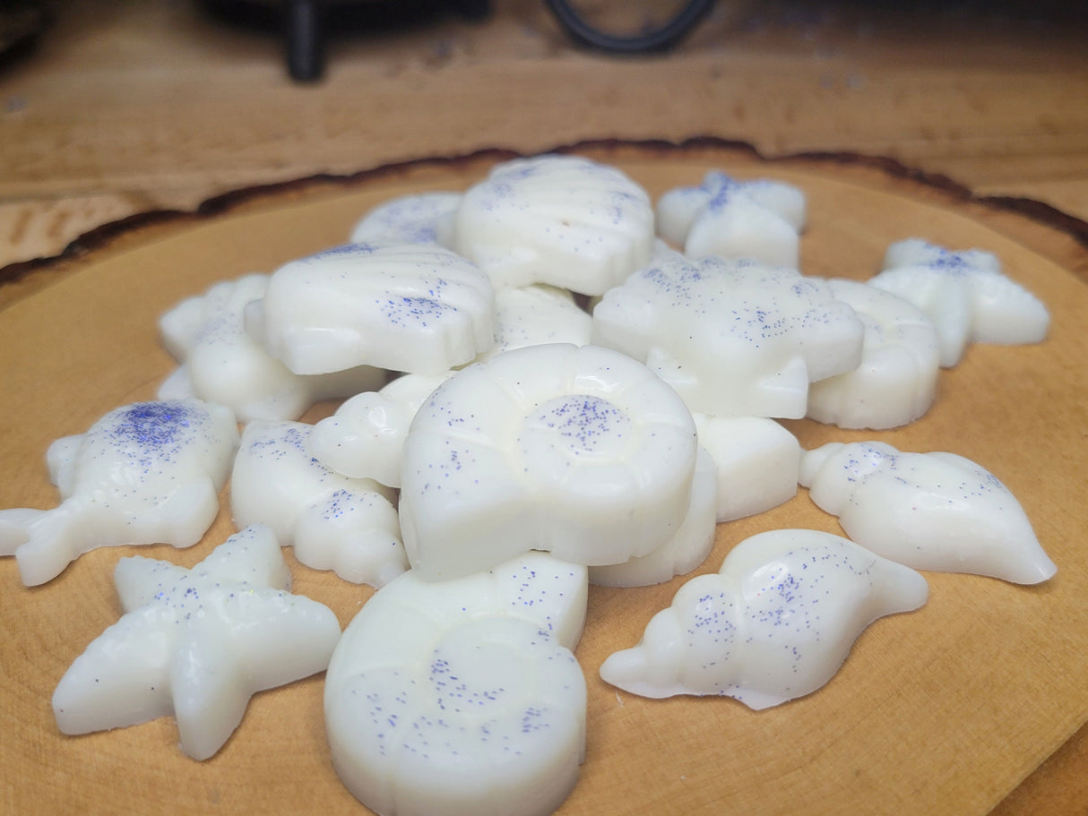 Sea Themed Wax Melts Handmade Ocean Wax Melts Scented Melts Gift for Her