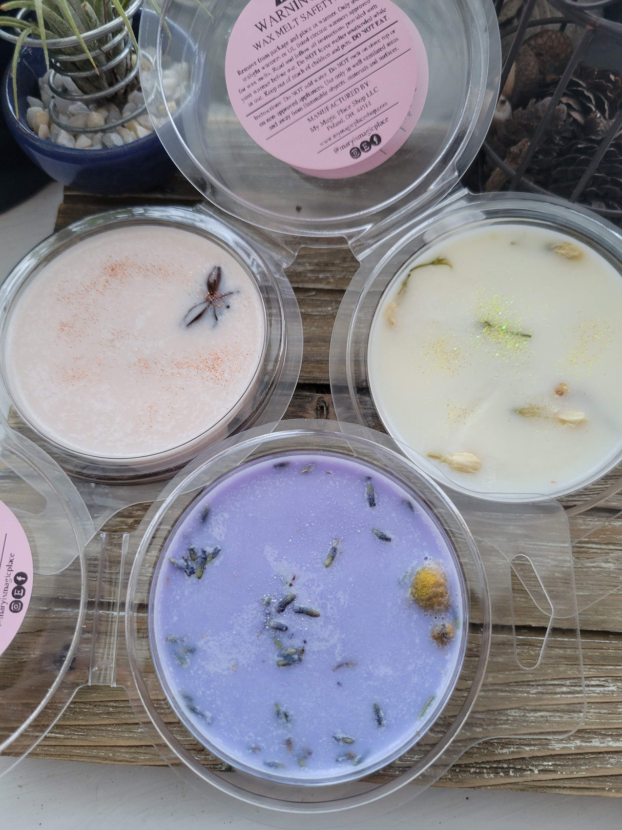 Wax Melts, Soy Wax with Flowers/Pie-Shaped Clamshell/ Handmade Wax Melts