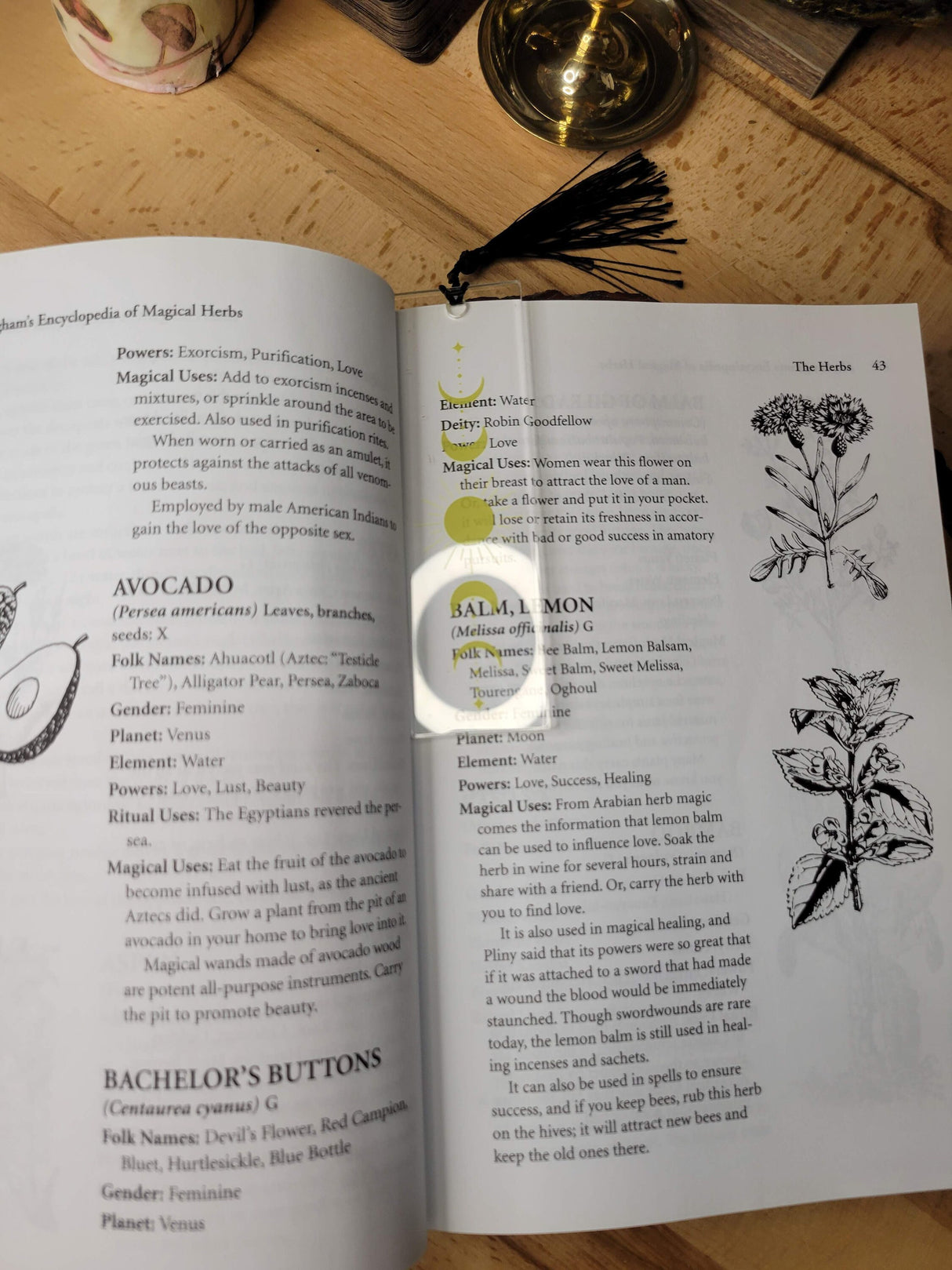 Phases of the Moon Bookmark, Witchy Bookmark, Gold Moon Acrylic Bookmark