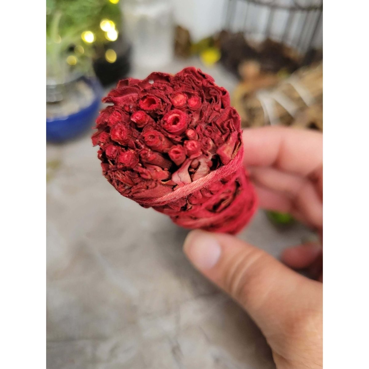 White Sage & Dragons Blood Smudge Stick - 4" -Herbs & Spices