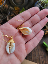 Shell Cowrie Wire Wrapped Earrings, Sea Earrings, Shell Earrings