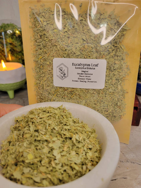 Eucalyptus Cut & Sifted - Magical Herb (1 oz)