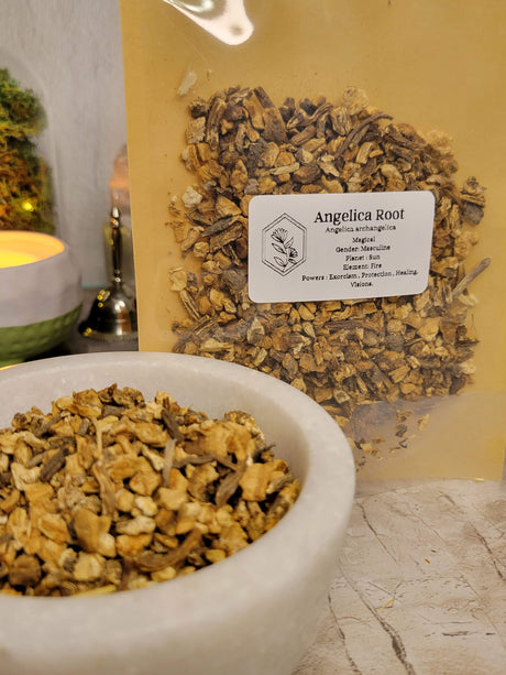 Angelica Root, Cut & Sifted, Magical Herb for Rituals, 1oz Pouch