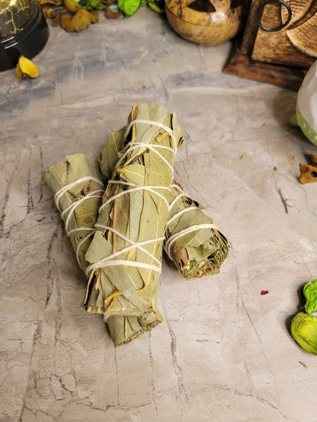 Eucalyptus smudge stick - 4"