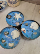 Sea Breeze Candle: Tropical Scent, Shells & Apatite Crystals, 8 oz