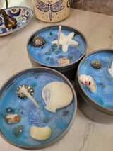 Sea Breeze Candle: Tropical Scent, Shells & Apatite Crystals, 8 oz