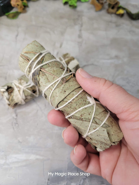 Eucalyptus & Yerba Santa Smudge Stick - 4" Handmade Smudge Sticks