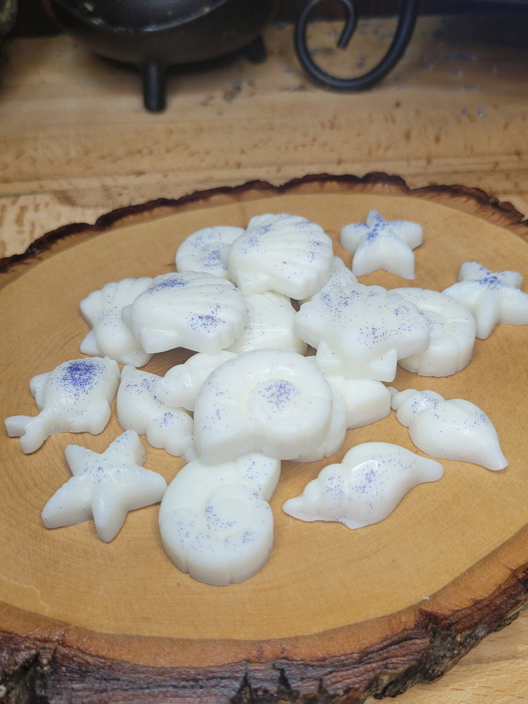 Sea Themed Wax Melts Handmade Ocean Wax Melts Scented Melts Gift for Her