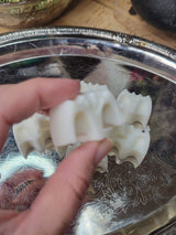 Bats Soy Wax Melts: Witchy Fall Scents, Essential Oil Fragrance