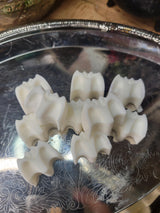 Bats Soy Wax Melts: Witchy Fall Scents, Essential Oil Fragrance