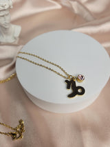 Zodiac Sign Necklace Gold – Astrology Pendant Necklace with Birthstone Charm – Horoscope Jewelry