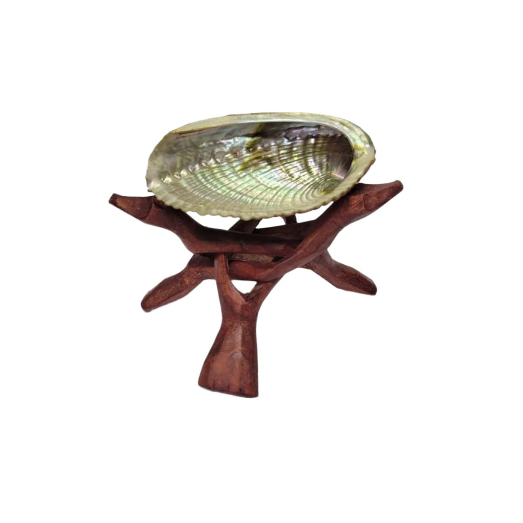 Abalone Shell plus Tripod Stand 4 to 5 inches. -Incense Holders