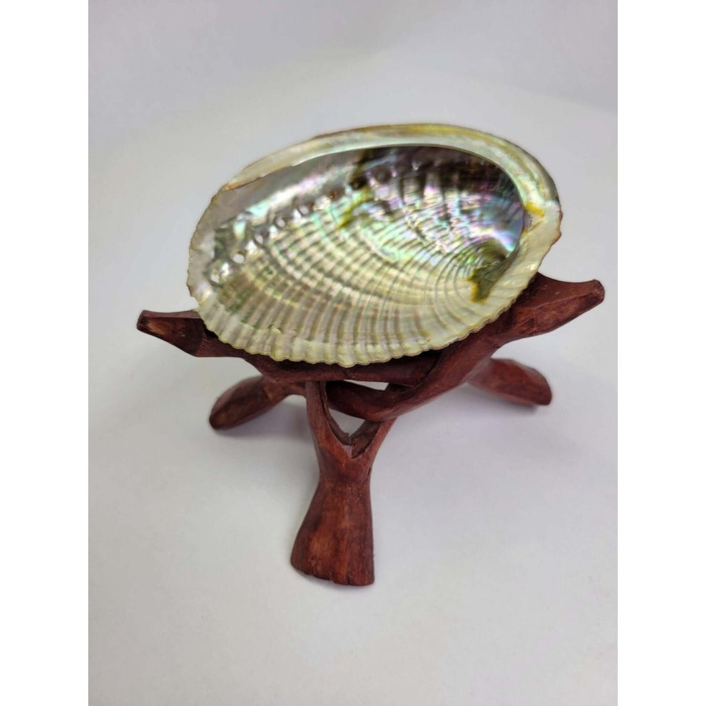 Abalone Shell plus Tripod Stand 4 to 5 inches. -Incense Holders