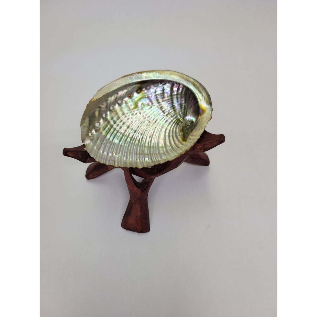 Abalone Shell plus Tripod Stand 4 to 5 inches. -Incense Holders