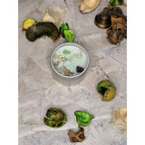 Crystal Candles - Healing/ Intentions Candle/- Flowers 2oz / Candle - Handmade with Crystals & Herbs/ Tin Jar -