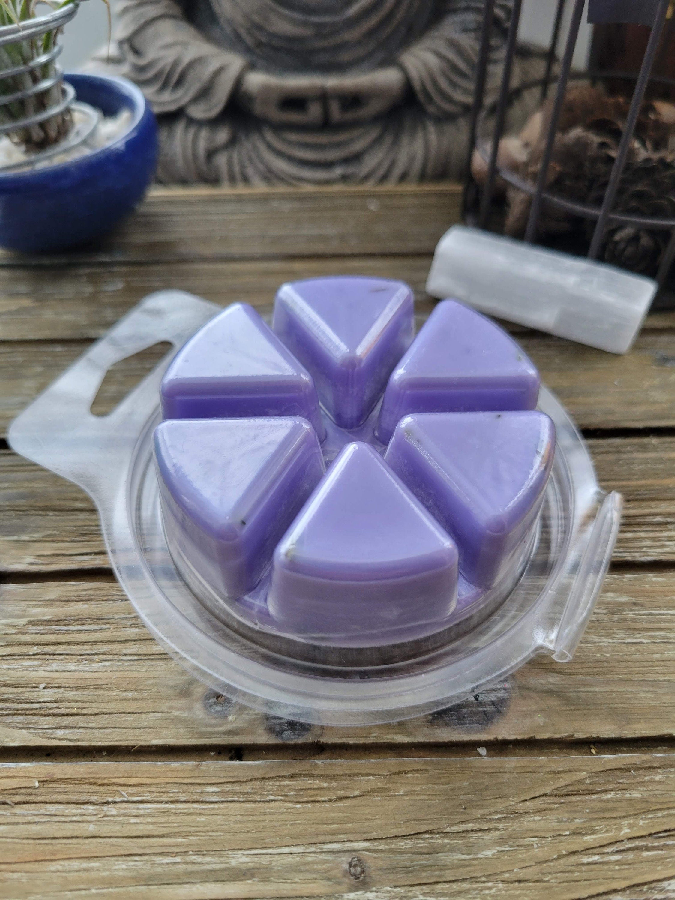 Wax Melts, Soy Wax with Flowers/Pie-Shaped Clamshell/ Handmade Wax Melts My  Magic Place Shop