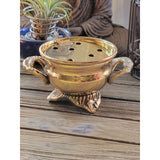 Small Brass Burner/ Cauldron with Screen/ Green Witch Apothecary -