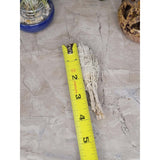 White Sage Smudge Stick - Mini Torch Style 4" -Herbs & Spices