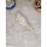 White Sage Smudge Stick - Mini Torch Style 4" -Herbs & Spices