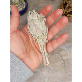 White Sage Smudge Stick - Mini Torch Style 4" -Herbs & Spices